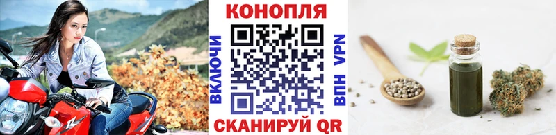 Где купить наркотики Аргун Cocaine А ПВП Меф ГАШИШ АМФЕТАМИН omg как зайти Марихуана