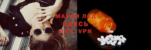 крисы Заводоуковск