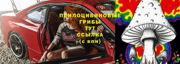 кокс Аркадак