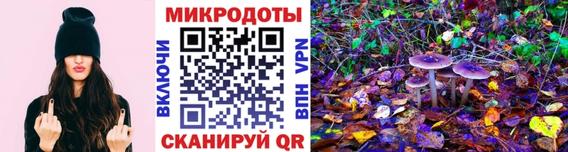 дарнет шоп  Аргун  Псилоцибиновые грибы Magic Shrooms 