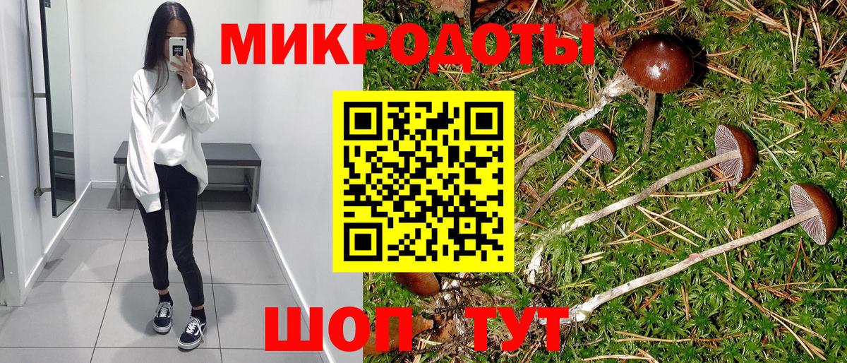 закладки  Аргун  Галлюциногенные грибы Psilocybine cubensis 