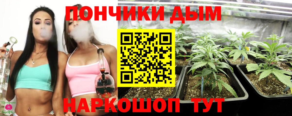 Бошки Шишки OG Kush  МАРИХУАНА планчик  Вход с VPN  Каннабис Amnesia  Аргун 